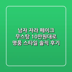 남자 자라 페이크 무스탕 10만원대로 명품 스타일 솔직 후기