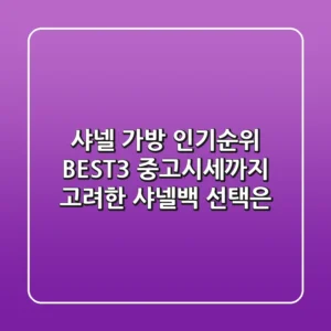 샤넬 가방 인기순위 BEST3 중고시세까지 고려한 샤넬백 선택은