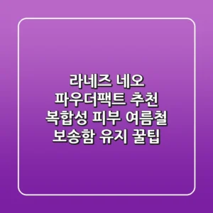 라네즈 네오 파우더팩트 추천, 복합성 피부 여름철 보송함 유지 꿀팁!
