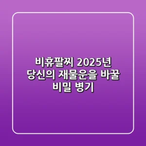 비휴팔찌, 2025년 당신의 재물운을 바꿀 비밀 병기