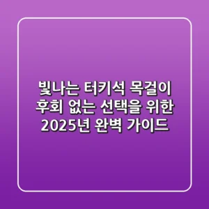 빛나는 터키석 목걸이, 후회 없는 선택을 위한 2025년 완벽 가이드