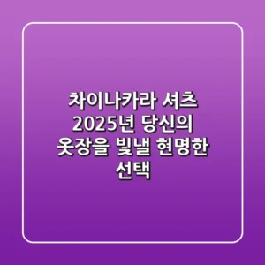차이나카라 셔츠, 2025년 당신의 옷장을 빛낼 현명한 선택