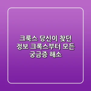 크룩스: 당신이 찾던 정보, 크록스부터 모든 궁금증 해소!