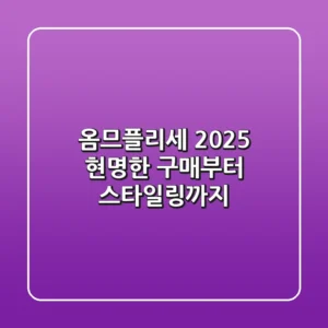 옴므플리세, 2025 현명한 구매부터 스타일링까지