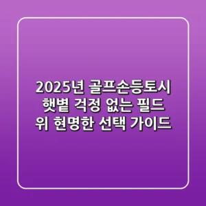 2025년 골프손등토시, 햇볕 걱정 없는 필드 위 현명한 선택 가이드
