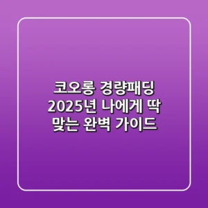 코오롱 경량패딩, 2025년 나에게 딱 맞는 완벽 가이드