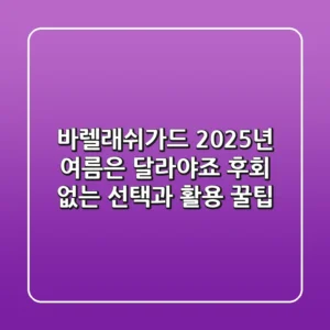 바렐래쉬가드, 2025년 여름은 달라야죠? 후회 없는 선택과 활용 꿀팁