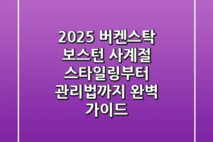 2025 버켄스탁 보스턴: 사계절 스타일링부터 관리법까지 완벽 가이드
