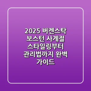 2025 버켄스탁 보스턴: 사계절 스타일링부터 관리법까지 완벽 가이드