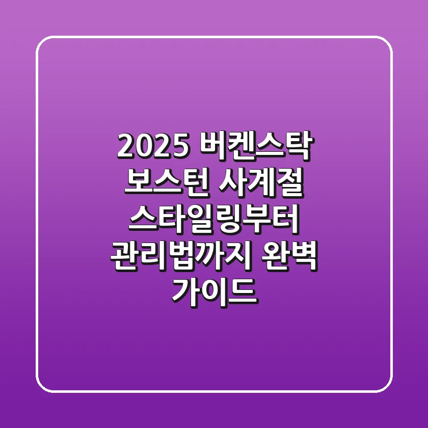 2025 버켄스탁 보스턴: 사계절 스타일링부터 관리법까지 완벽 가이드