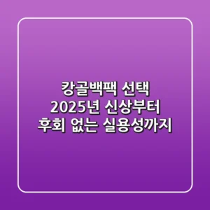 캉골백팩 선택: 2025년 신상부터 후회 없는 실용성까지