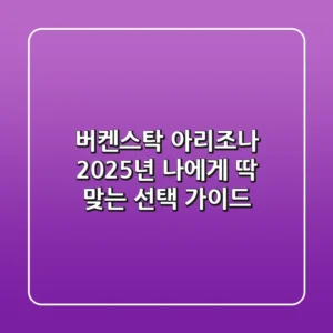 버켄스탁 아리조나: 2025년 나에게 딱 맞는 선택 가이드