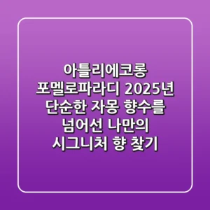 아틀리에코롱 포멜로파라디: 2025년, 단순한 자몽 향수를 넘어선 나만의 시그니처 향 찾기