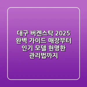 대구 버켄스탁 2025 완벽 가이드: 매장부터 인기 모델, 현명한 관리법까지