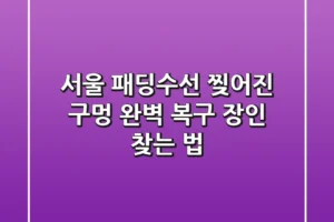 서울 패딩수선, 찢어진 구멍 완벽 복구 장인 찾는 법