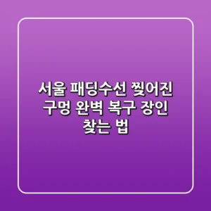 서울 패딩수선, 찢어진 구멍 완벽 복구 장인 찾는 법