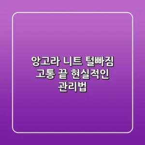 앙고라 니트 털빠짐? 고통 끝! 현실적인 관리법