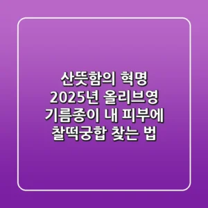 산뜻함의 혁명: 2025년 올리브영 기름종이, 내 피부에 찰떡궁합 찾는 법!