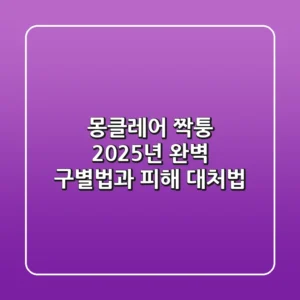 몽클레어 짝퉁, 2025년 완벽 구별법과 피해 대처법