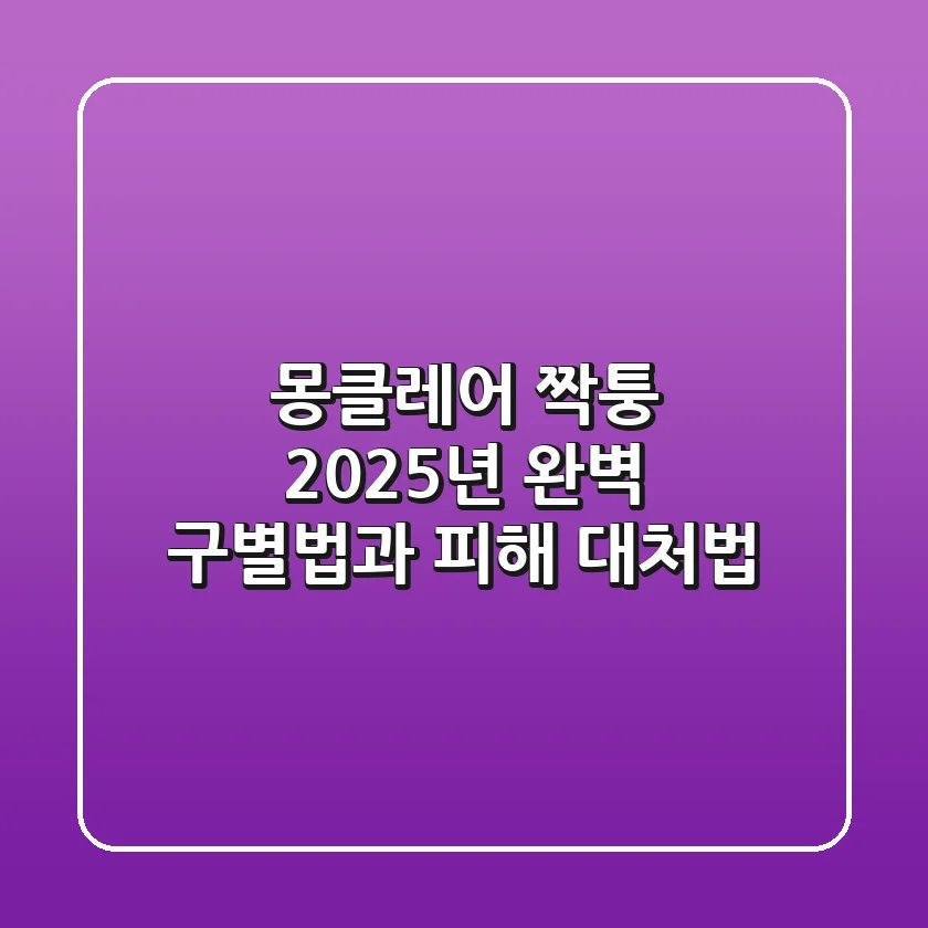 몽클레어 짝퉁, 2025년 완벽 구별법과 피해 대처법