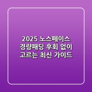 2025 노스페이스 경량패딩, 후회 없이 고르는 최신 가이드