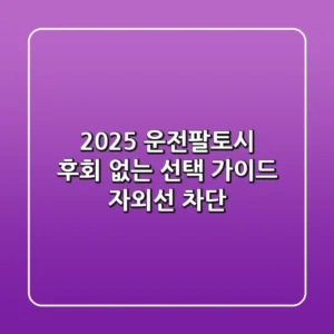 2025 운전팔토시, 후회 없는 선택 가이드 (자외선 차단)