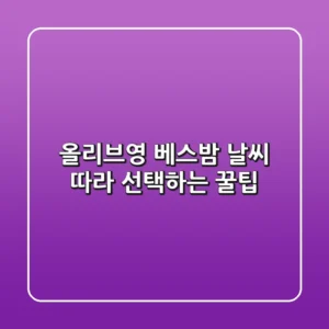 올리브영 베스밤, 날씨 따라 선택하는 꿀팁!
