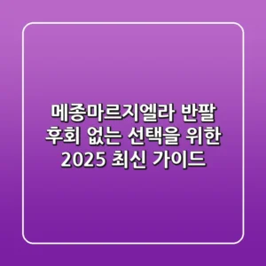 메종마르지엘라 반팔, 후회 없는 선택을 위한 2025 최신 가이드