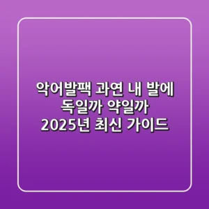 악어발팩, 과연 내 발에 '독'일까 '약'일까? 2025년 최신 가이드!