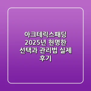 아크테릭스패딩, 2025년 현명한 선택과 관리법 (실제 후기)
