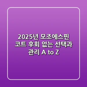 2025년 모조에스핀 코트: 후회 없는 선택과 관리 A to Z