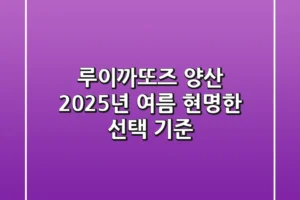 루이까또즈 양산, 2025년 여름 현명한 선택 기준