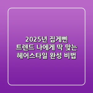 2025년 집게삔 트렌드: 나에게 딱 맞는 헤어스타일 완성 비법