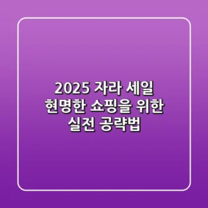2025 자라 세일, 현명한 쇼핑을 위한 실전 공략법
