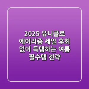 2025 유니클로 에어리즘 세일, 후회 없이 득템하는 여름 필수템 전략